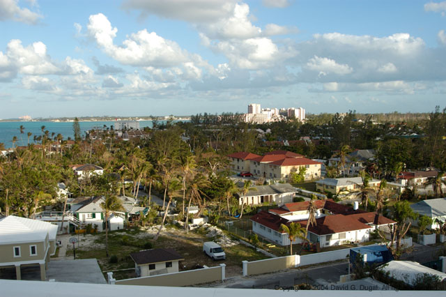 DSC_2936