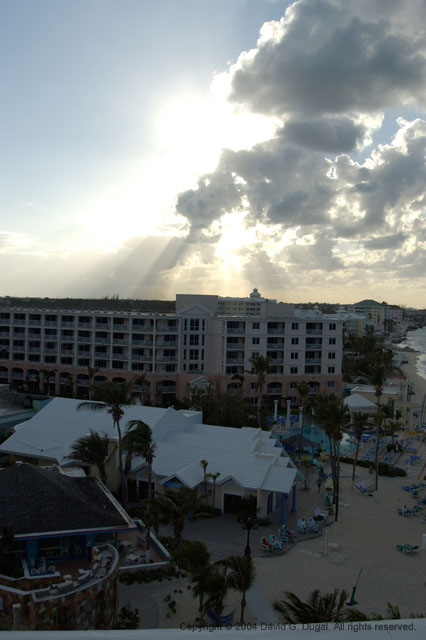 DSC_2939